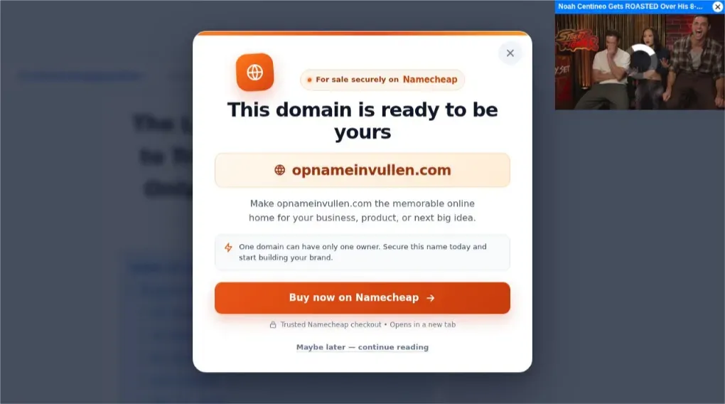 The sale panel customized for opnameinvullen.com. Screenshot 06:29:09 UTC. Another marketing channel is shown, not proof of revenue or of a